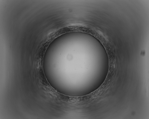 X0000094900965200711291019