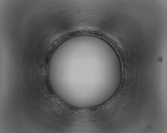 X0000094900966200711291019