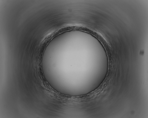 X0000094900967200711291019