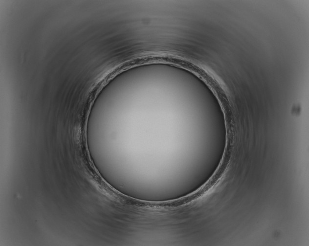 X0000094900969200711291019