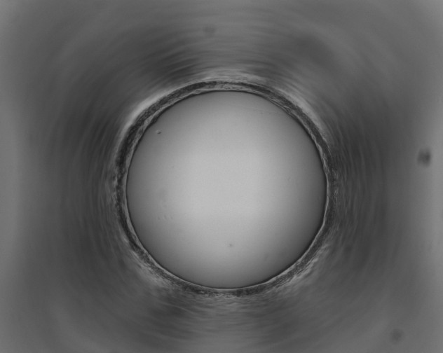 X0000094900971200711291019