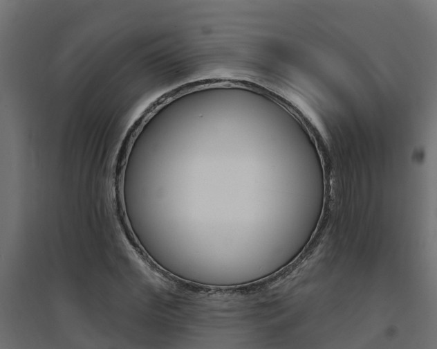 X0000094900972200711291019