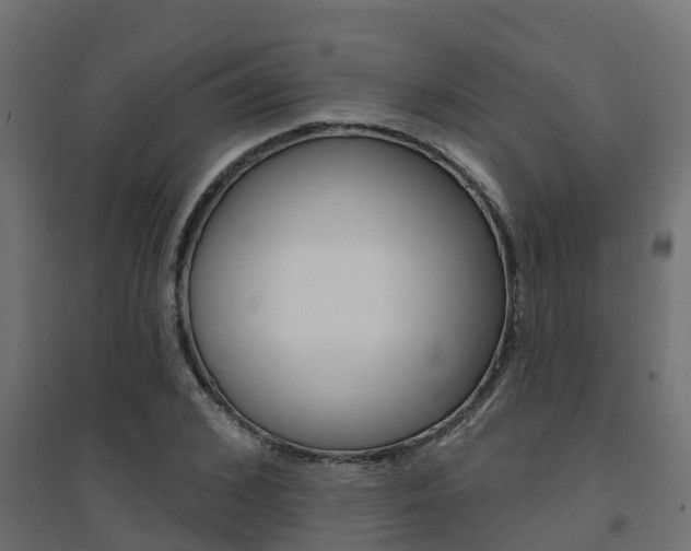 X0000094900976200711291019