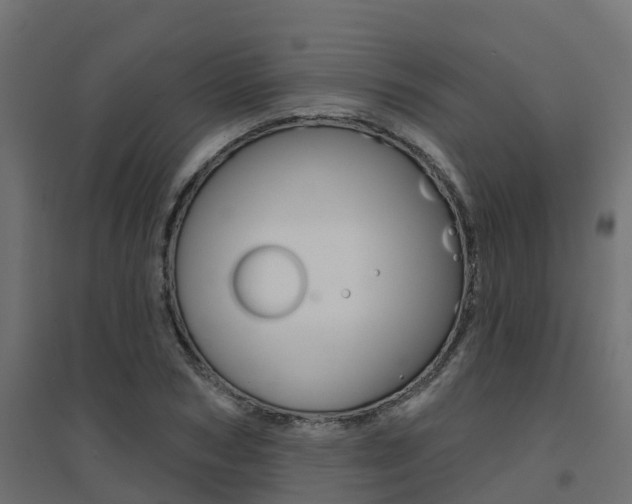 X0000094900978200711291019