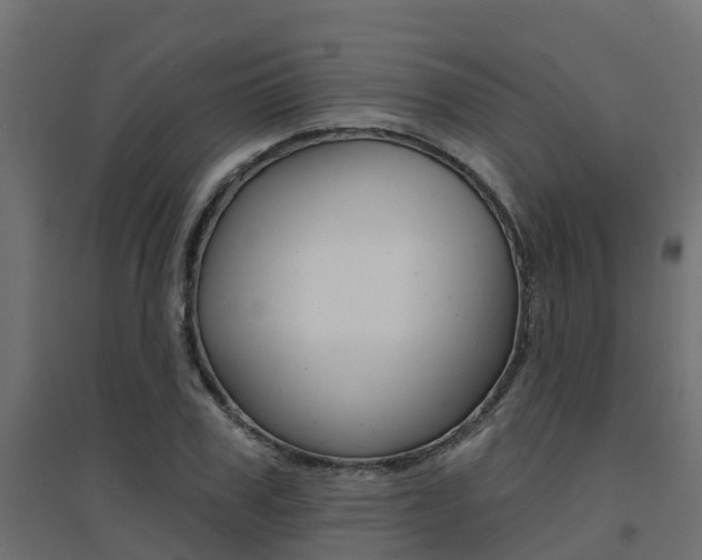 X0000094900979200711291019