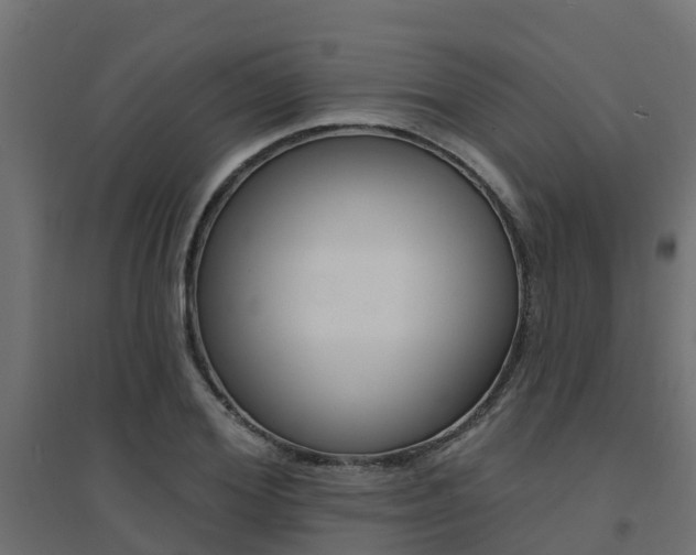 X0000094900980200711291019