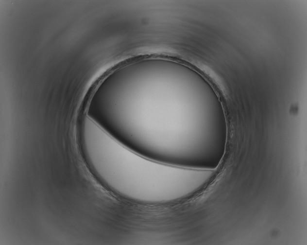 X0000094900983200711291019