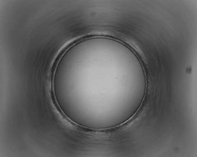 X0000094900984200711291018