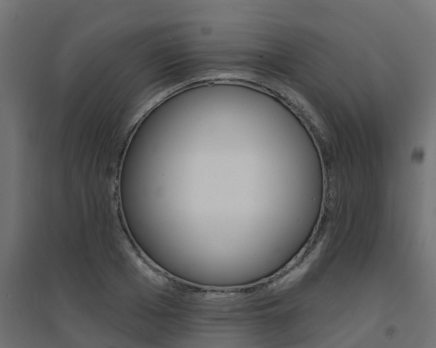 X0000094900985200711291018