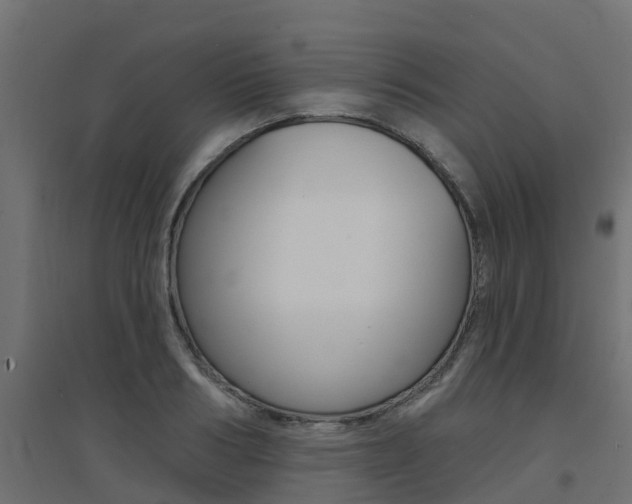 X0000094900986200711291018