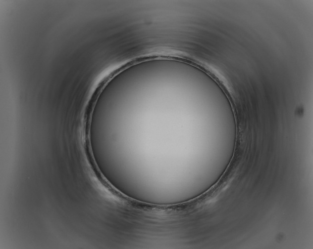 X0000094900987200711291018