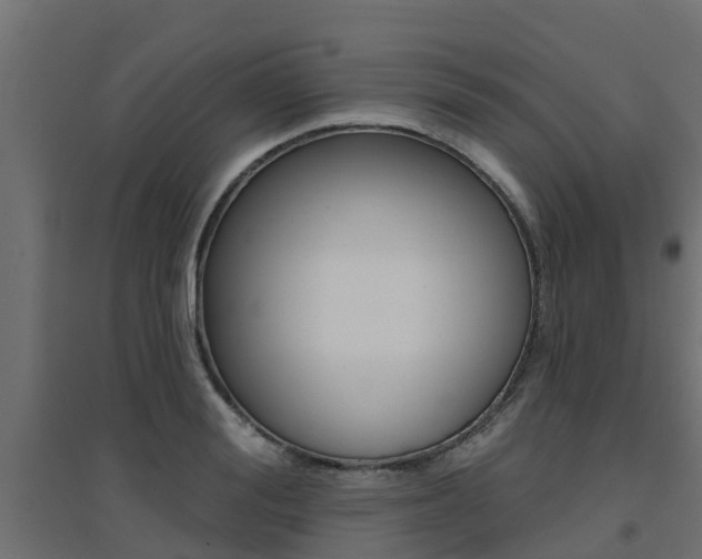 X0000094900988200711291018