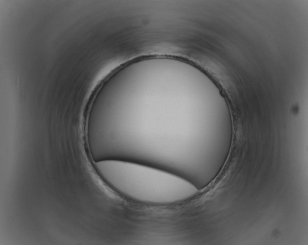 X0000094900990200711291018