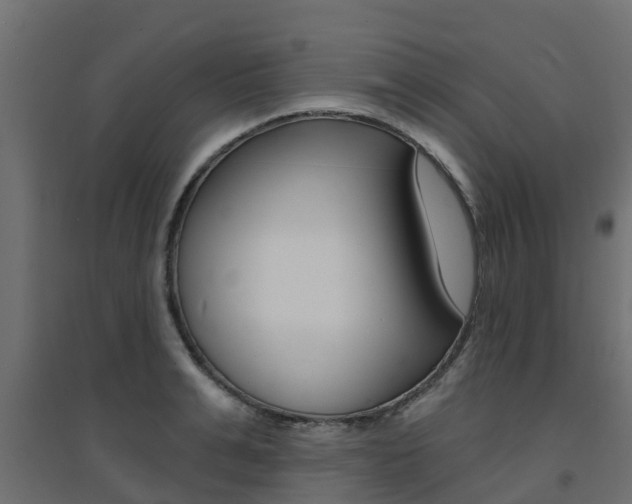 X0000094900991200711291018