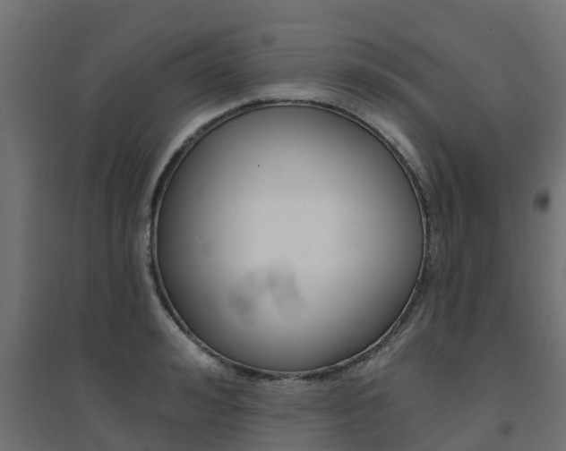 X0000094900992200711291018