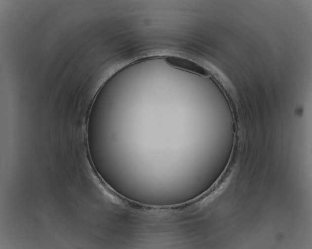 X0000094900993200711291018