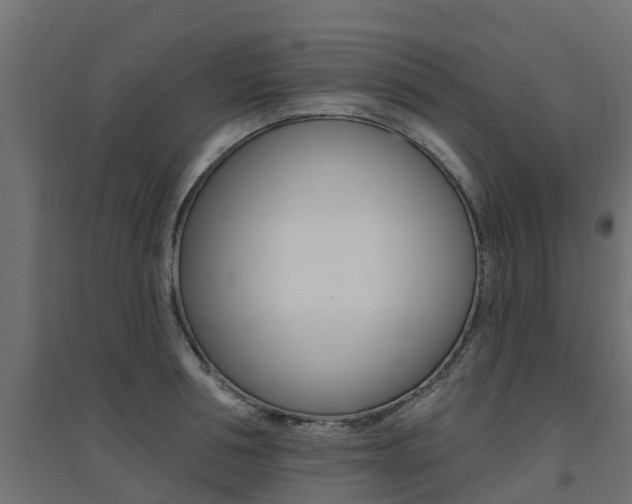 X0000094900994200711291018
