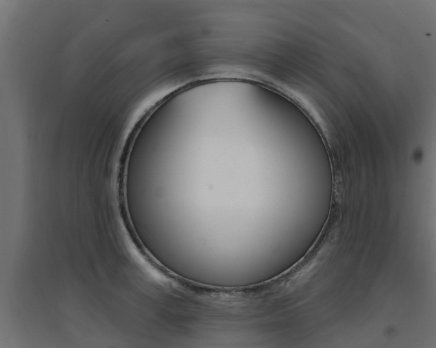X0000094900995200711291018