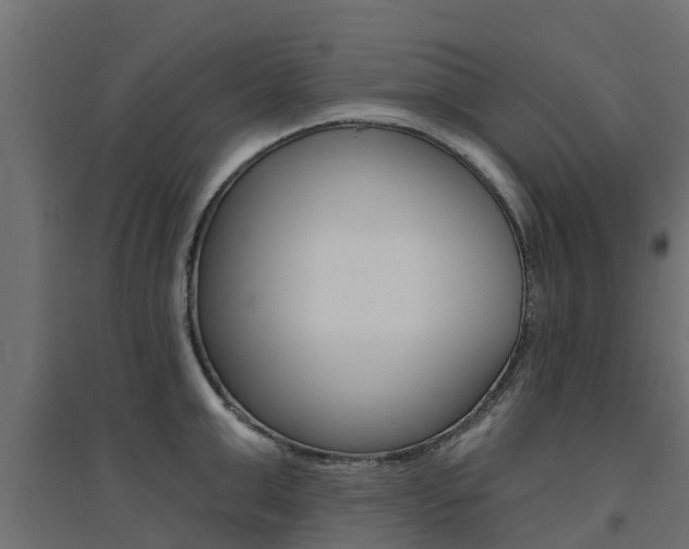 X0000094900999200711291018