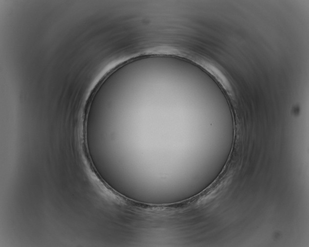 X0000094901000200711291018