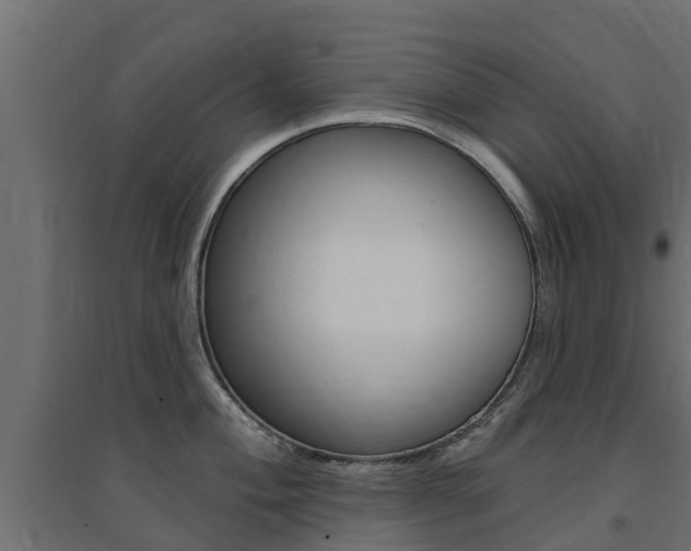 X0000094901004200711291018