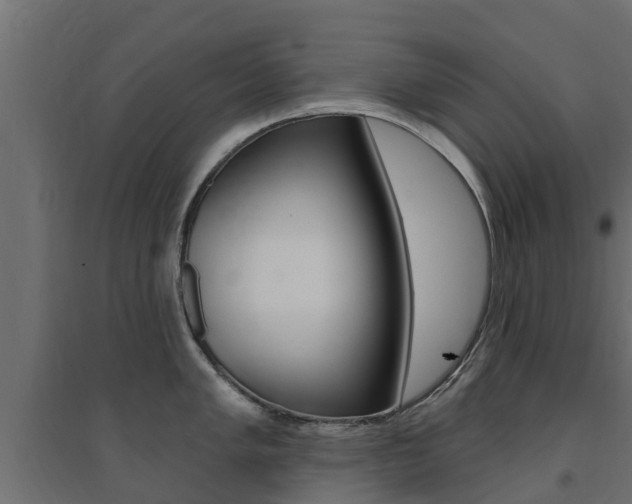 X0000094901005200711291018
