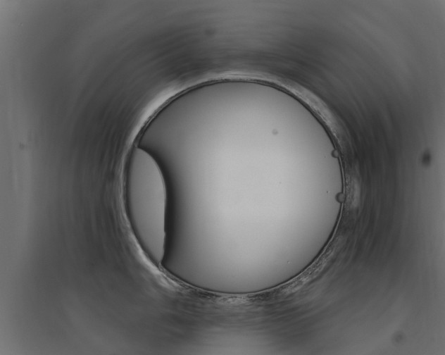 X0000094901006200711291018
