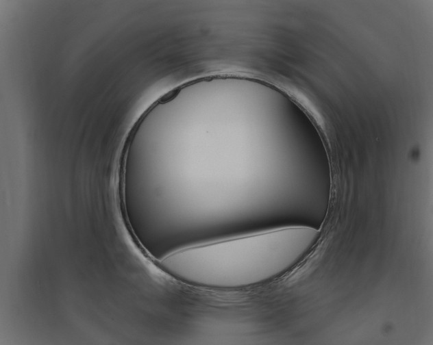 X0000094901007200711291018
