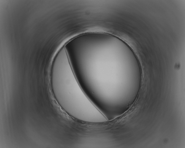 X0000094901008200711291018