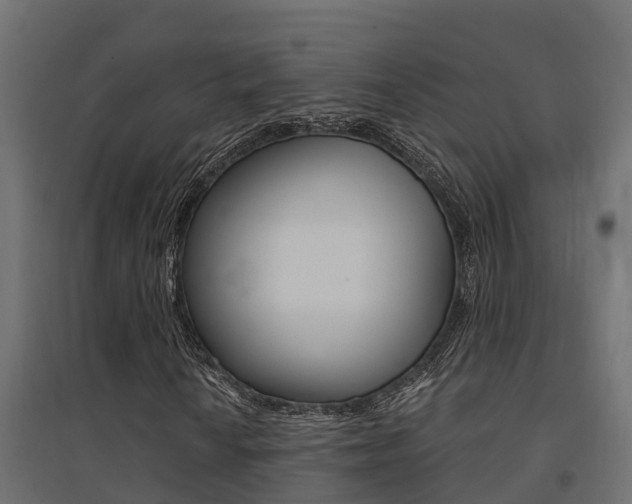 X0000094901010200711291017