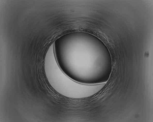 X0000094901012200711291017