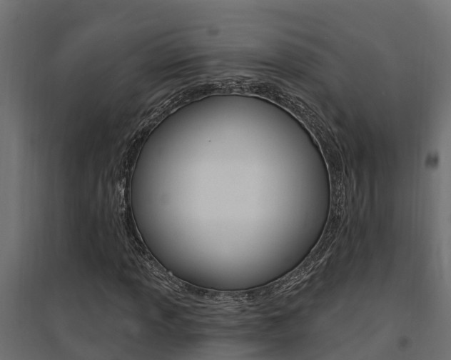 X0000094901013200711291017