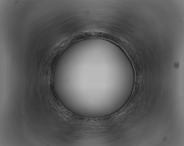 X0000094901014200711291017