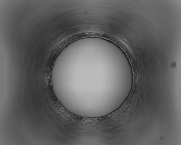 X0000094901015200711291017