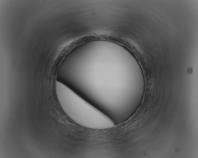 X0000094901016200711291017