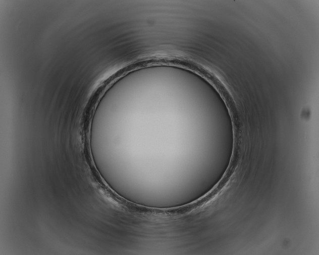 X0000094901018200711291017