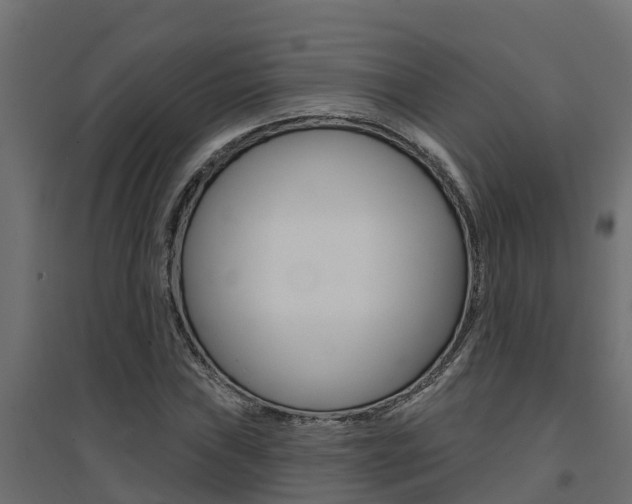 X0000094901019200711291017