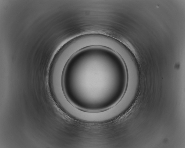 X0000094901020200711291017
