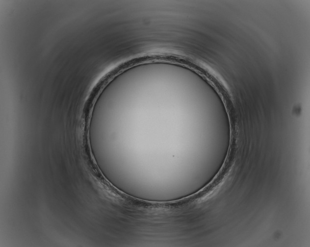 X0000094901021200711291017