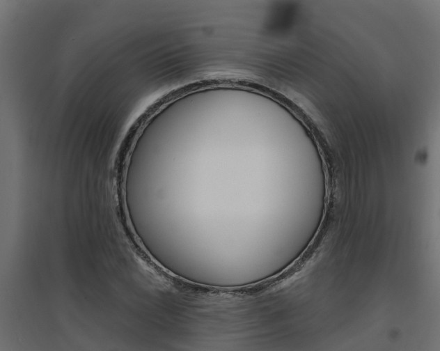 X0000094901022200711291018