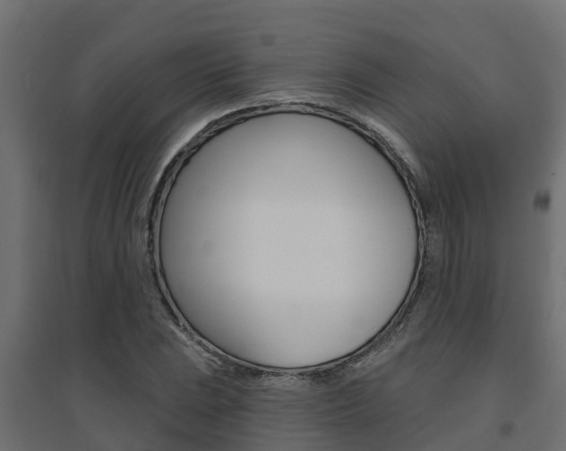 X0000094901023200711291018