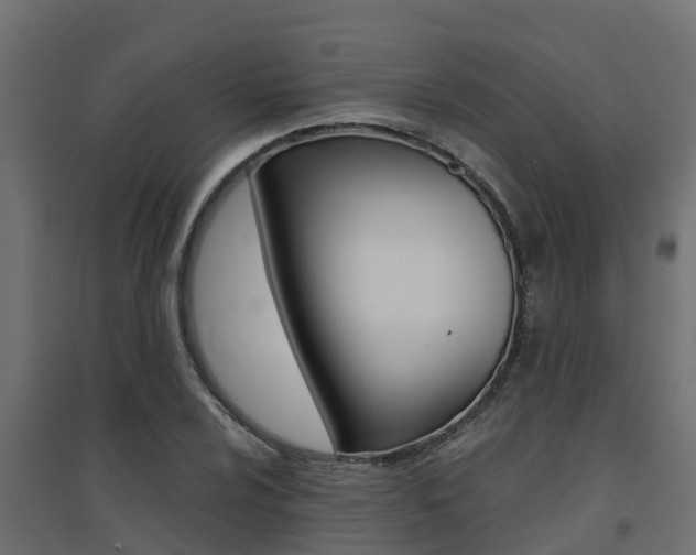 X0000094901024200711291018