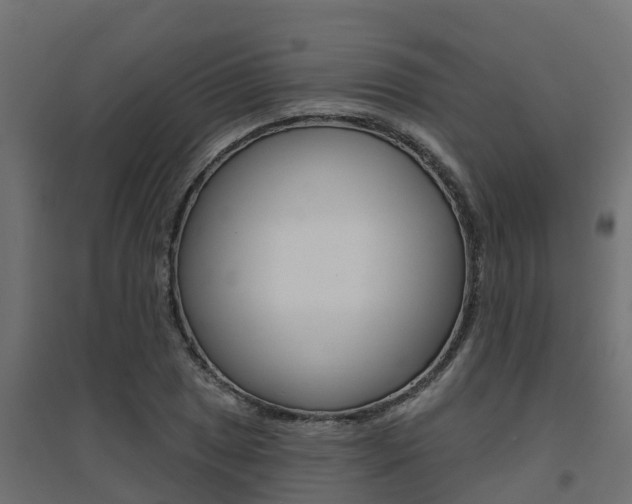 X0000094901025200711291018