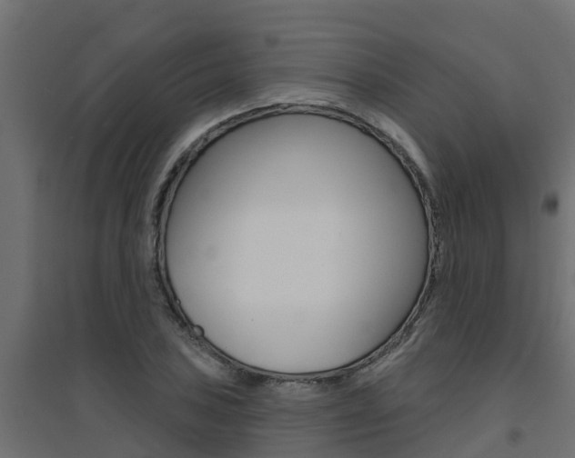 X0000094901027200711291018