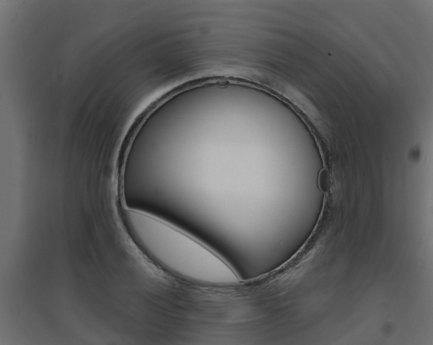 X0000094901028200711291018