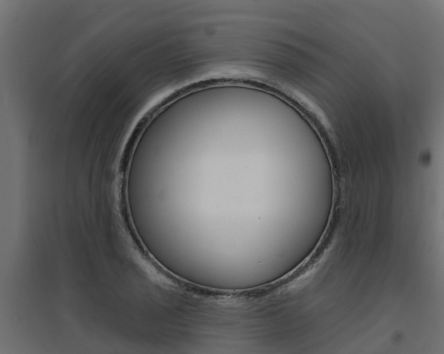 X0000094901029200711291018