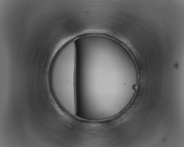 X0000094901030200711291018