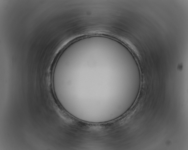 X0000094901031200711291018