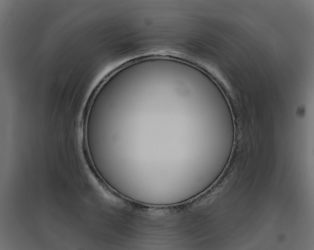 X0000094901032200711291018