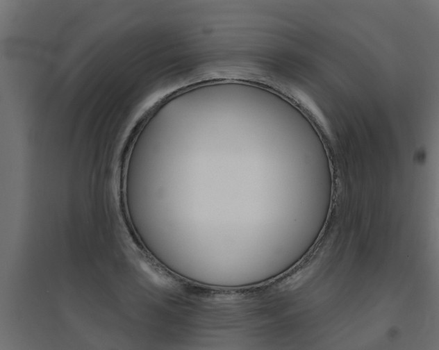 X0000094901035200711291018
